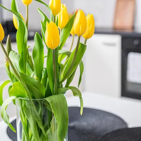 Pohulanka Hideaway - Billberry Apartment