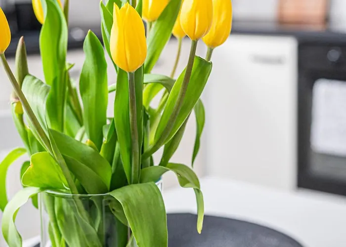 Pohulanka Hideaway - Billberry Lägenhet